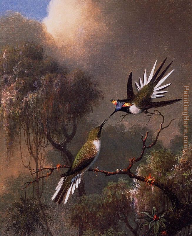 Two Sun Gems on a Branch painting - Martin Johnson Heade Two Sun Gems on a Branch art painting